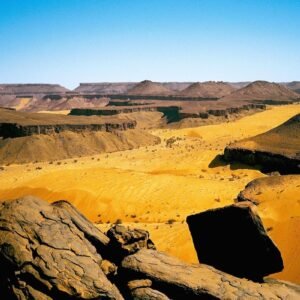 TIMINIT → TERJIT CAMEL TREK